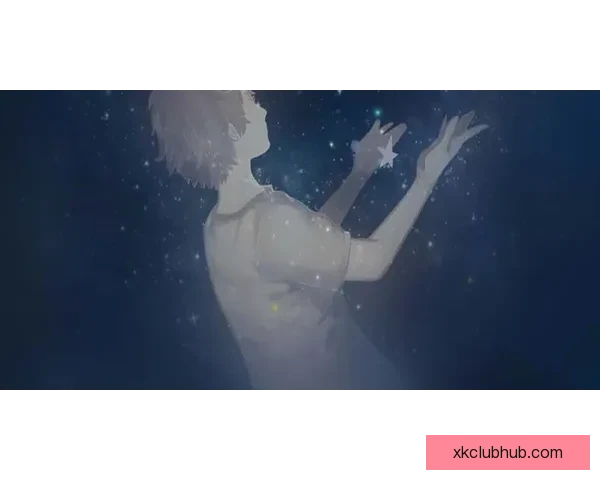 星空体育平台使用体验及安全性全面分析与风险评估